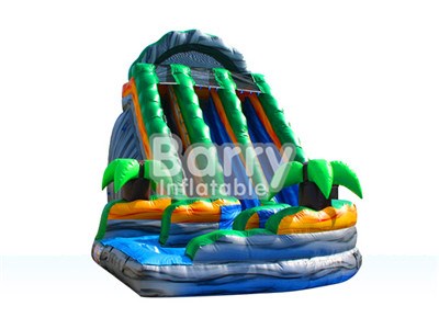 Cave Inflatable Water Slide Commercial ,Water Slides for kids factory price BY-WS-028 